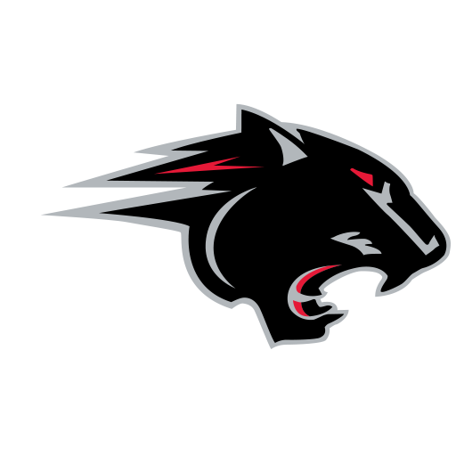 Women's Clark Atlanta Panthers Apparel