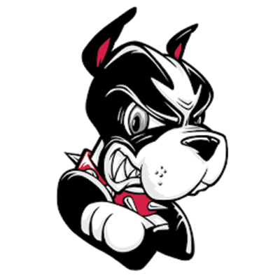 Women's Boston University Terriers