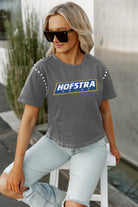 HOFSTRA PRIDE AFTER PARTY STUDDED SHORT SLEEVE MODERATELY CROPPED TEE