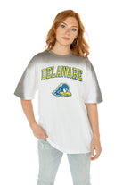 DELAWARE BLUE HENS INTERCEPTION COLOR WAVE CREW NECK T-SHIRT