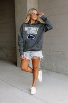 PENN STATE NITTANY LIONS RUNNING WILD ADULT CLASSIC HOODED PULLOVER