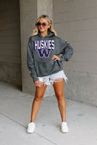 WASHINGTON HUSKIES RUNNING WILD ADULT CLASSIC HOODED PULLOVER